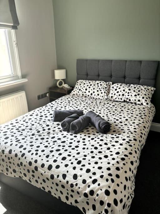 The One-Bedroom Central Brighton Retreat Eksteriør billede